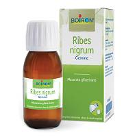 RIBES NIGRUM BOIRON MG 60ML