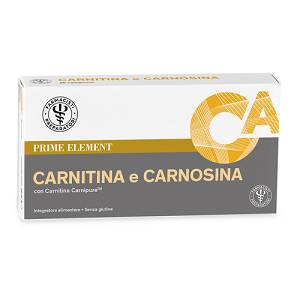 LFP CARNITINA CARNOSINA 39G PR